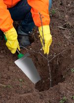 Mehrzweck-Schaufel Root Digger 