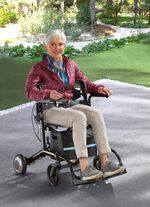Elektrischer Rollstuhl/Rollator 2-in-1 