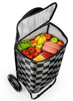 EASYmaxx Einkaufsroller 