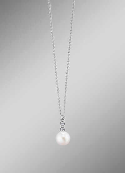 Anh&auml;nger mit Panzerkette 