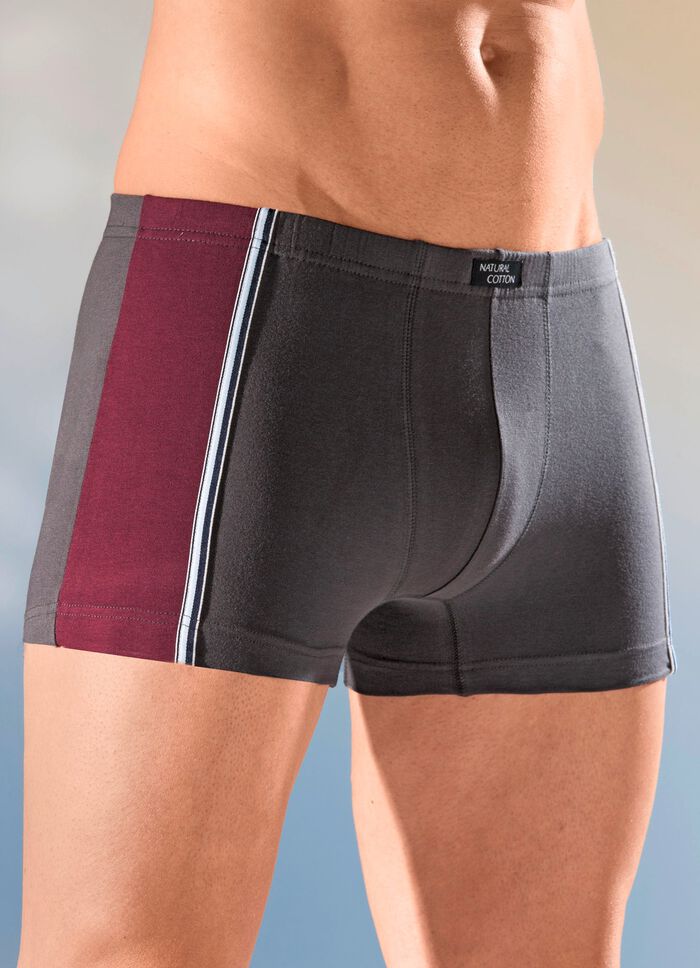 Viererpack Pants mit Dehnbund 