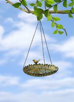 Vogeltr&auml;nke zum h&auml;ngen 