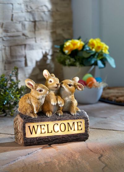 Hasentrio "Welcome", solar 