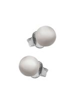 Kleine aber feine Kugel-Ohrstecker aus Titan 