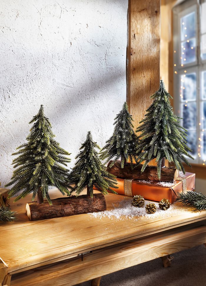 Tannenb&auml;ume auf Baumstamm 