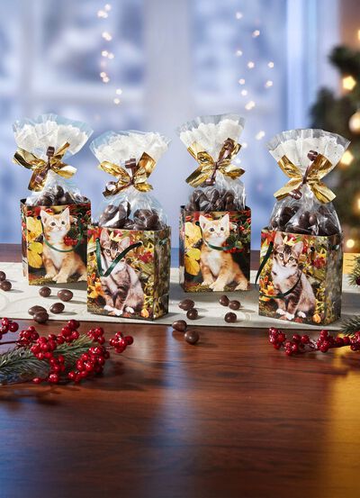 Pr&auml;sentt&uuml;te Herbst-K&auml;tzchen aus Papier, 4er-Set 