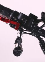 Maximus E-Cruiser - Die umweltfreundliche Alternative zum Motorrad 