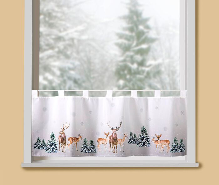 Kurzstore Rehe im Wald 