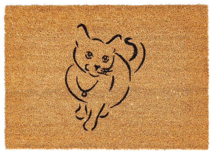 Hochwertige Kokosfu&szlig;matte 