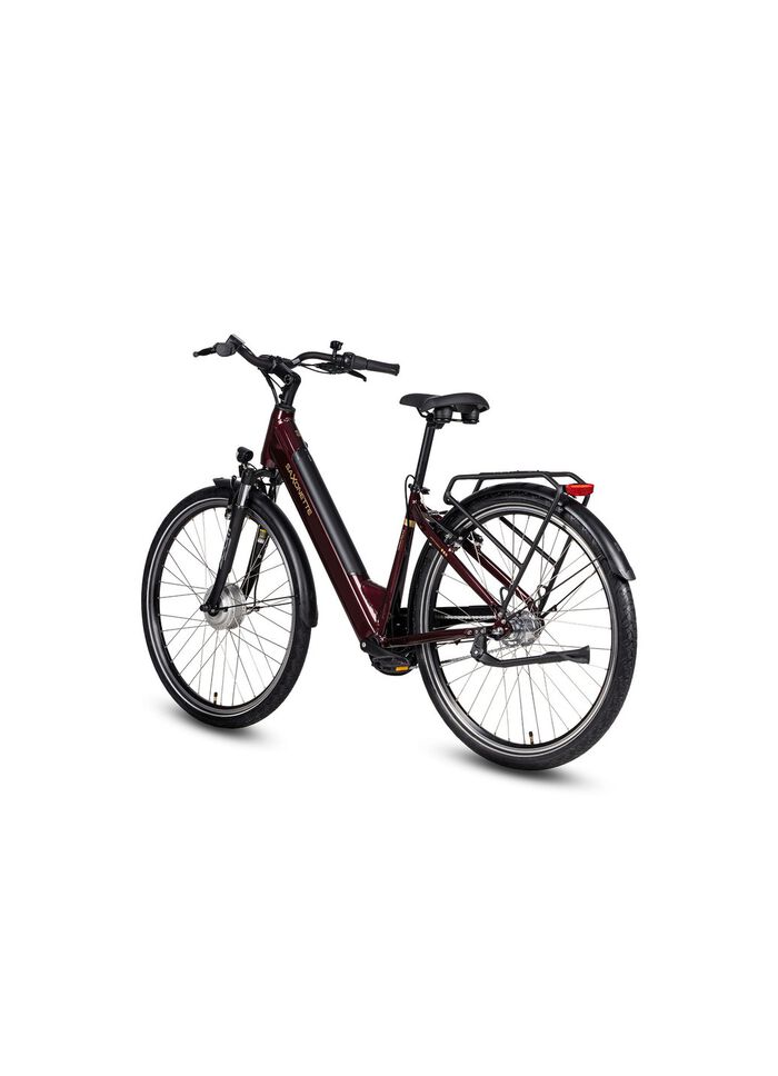 E-Bike Comfort Plus 5.0 von Saxonette 
