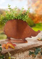 Pflanzigel im Rost-Look 