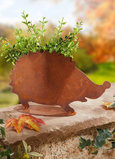 Pflanzigel im Rost-Look 