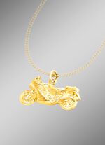 Anh&auml;nger Motorrad, beidseitig tragbar 