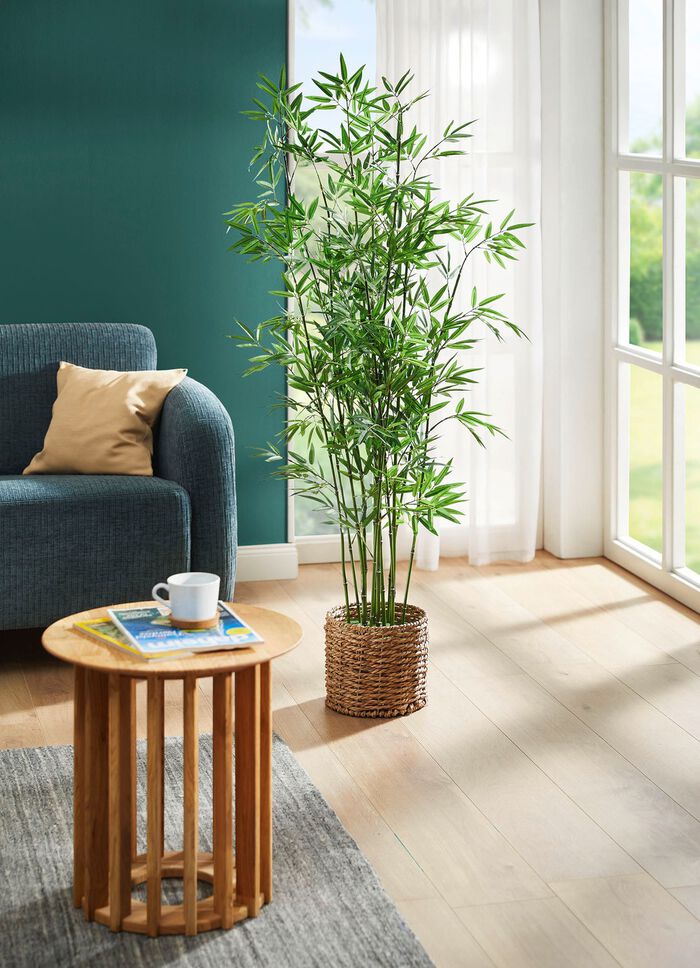 Bambus in Wasserhyazinthen-Korb 