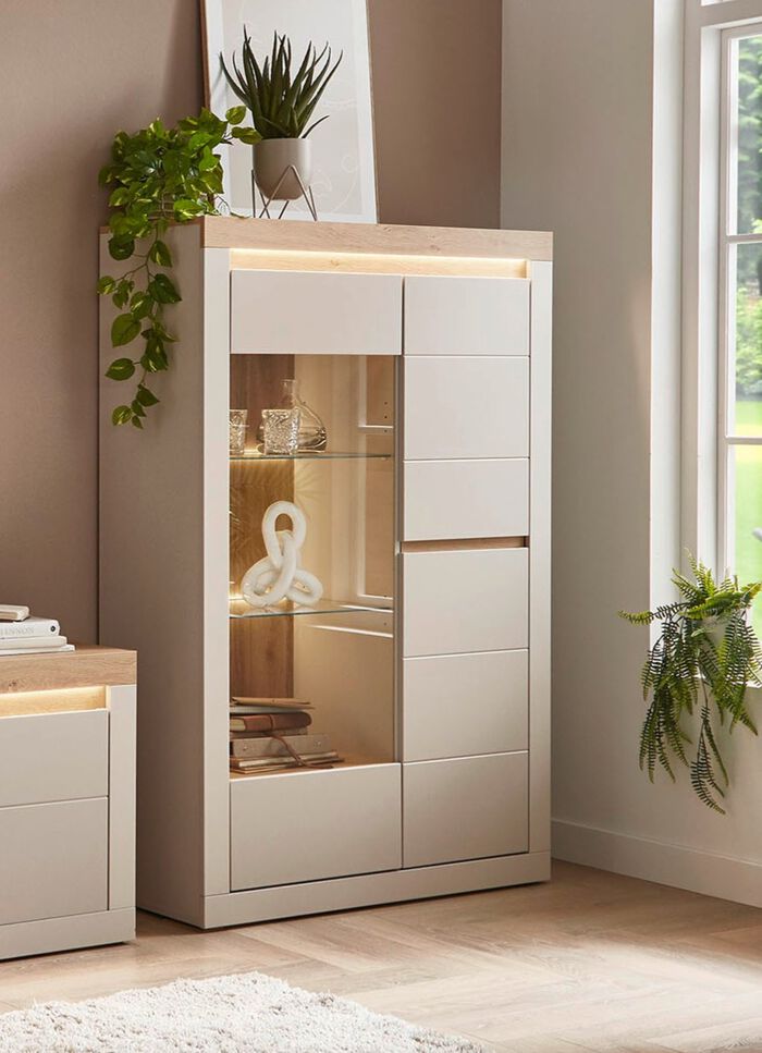 Vitrine mit LED-Beleuchtung, 1-t&uuml;rig 