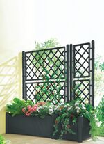 Pflanzkasten mit Spalierwand 