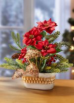 Poinsettia-Arrangement in Schale 