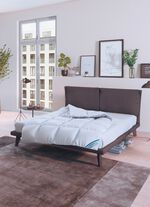 Daunenprogramm Antarktis von Spessarttraum 