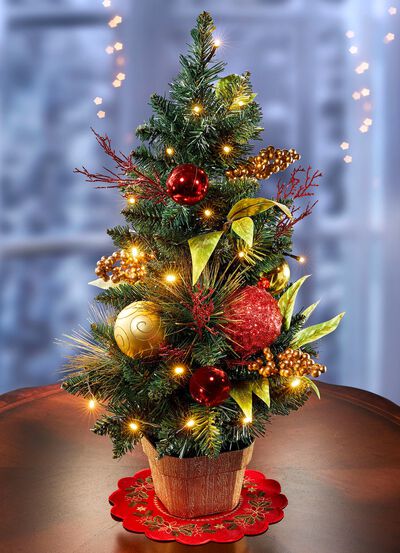 Beleuchteter Tannenbaum 