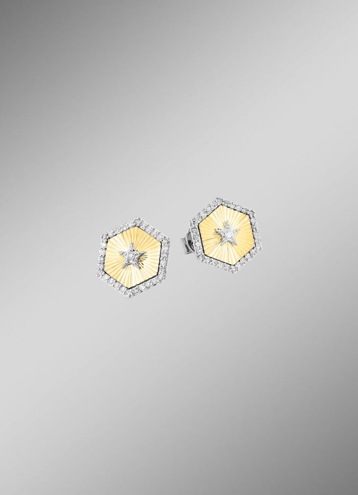 Ohrstecker in Bicolor mit 2 Brillanten und 60 Diamanten 