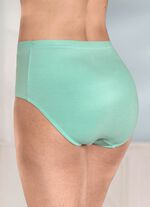 Viererpack Slips mit dekorativem Elastikbund 