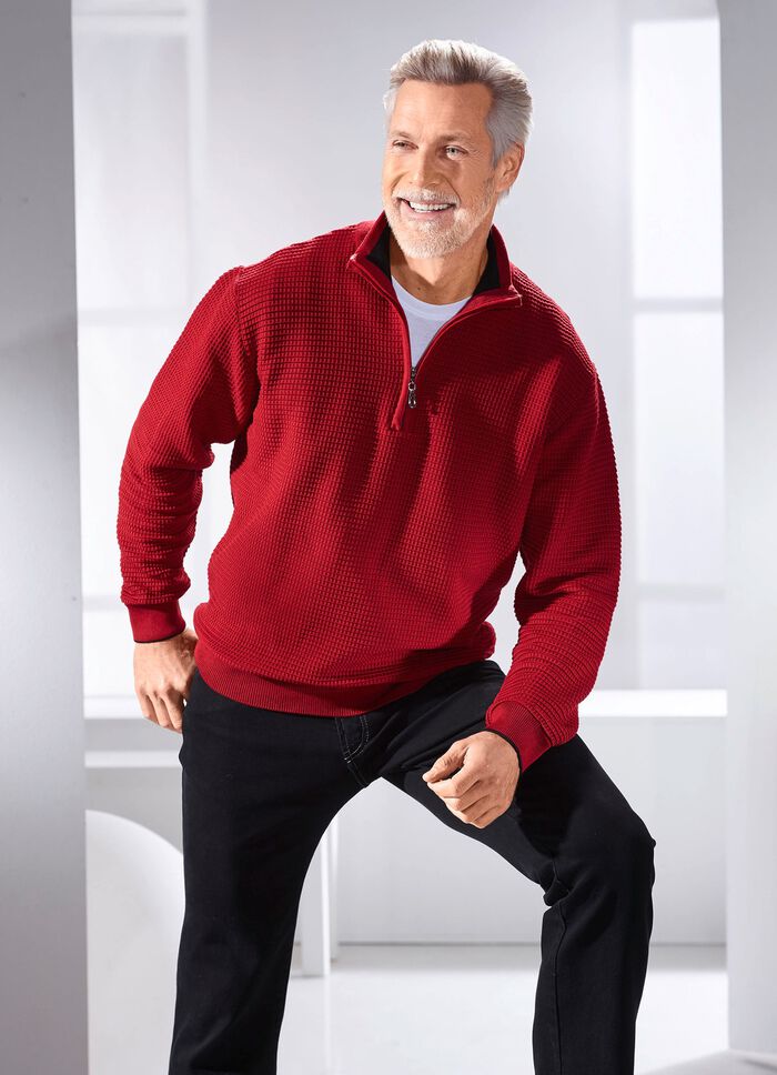 Troyer mit Stehkragen in 2 Farben 