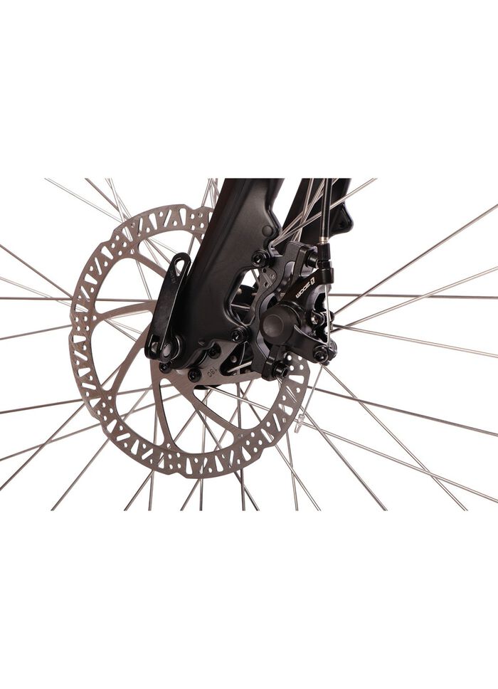 E-Bike Comfort Sport Easy von SAXXX 