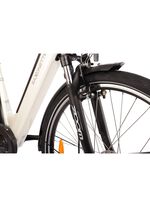 E-Bike Comfort Plus 5.0 von Saxonette 
