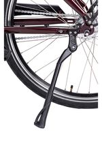 E-Bike Comfort Plus 5.0 von Saxonette 