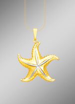 Interessanter Anh&auml;nger Seestern in Bicolor 