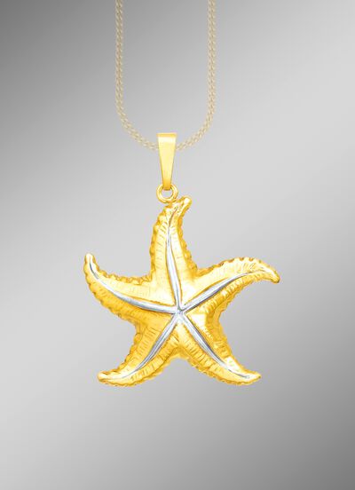 Interessanter Anh&auml;nger Seestern in Bicolor 