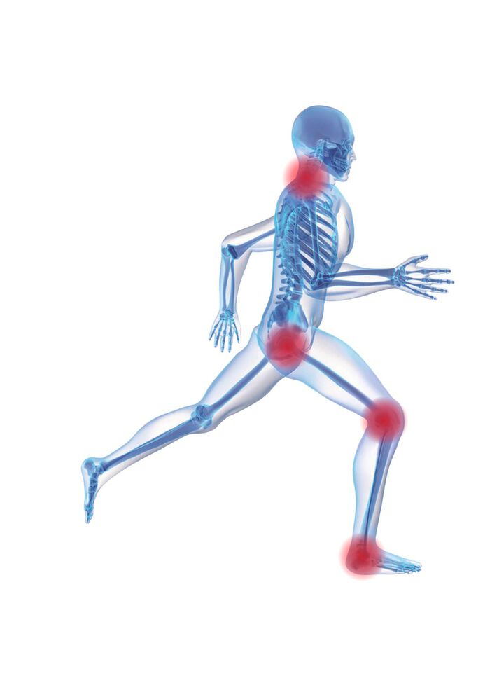 Thermofleece- Einlage, 2 Paar 