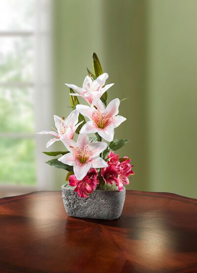 Lilien-Arrangement im Topf 
