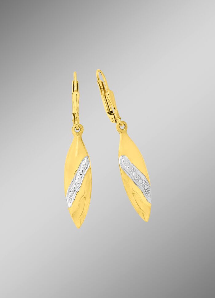 Tolle Ohrringe in Bicolor 