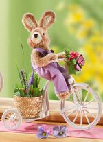 Hase auf Fahrrad 