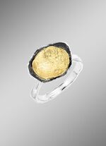 Zauberhafter Damenring in Tricolor 