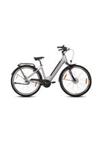 E-Bike Comfort Plus 5.0 von Saxonette 