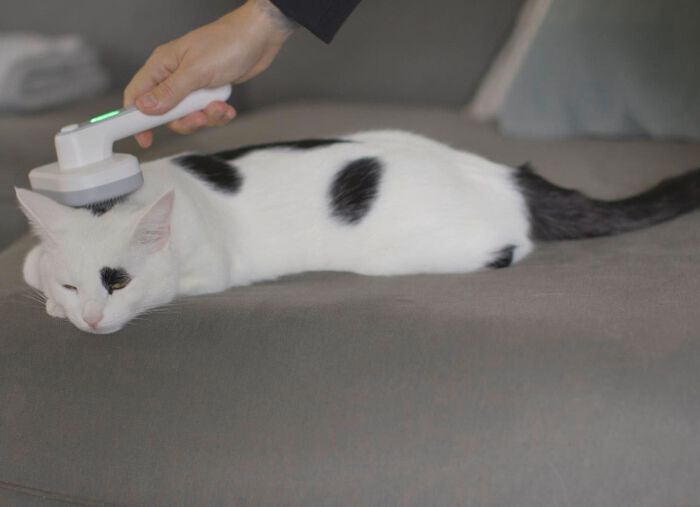 "PiddiPet IonBrush" Tierhaarb&uuml;rste  